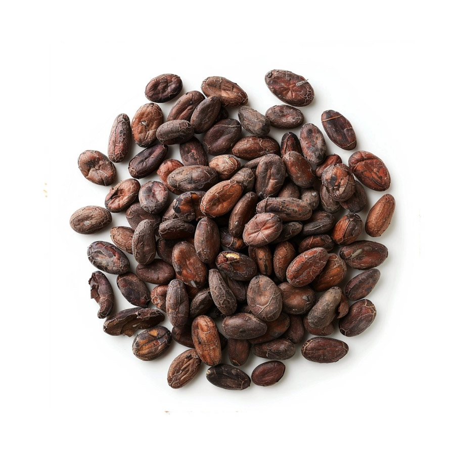 Cocoa Beans