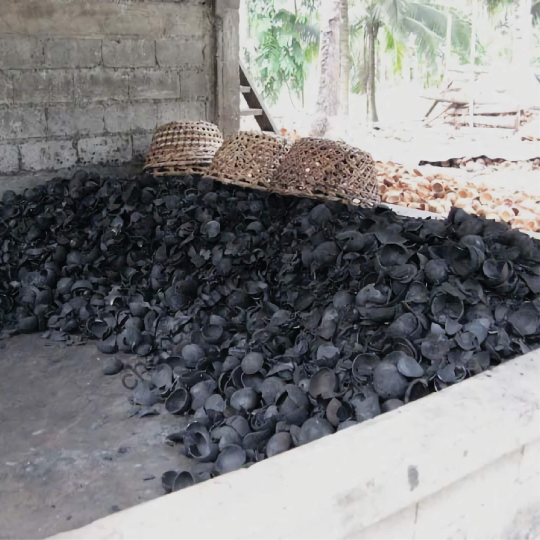 Coconut Charcoal