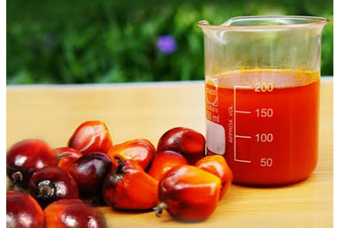 Crude Palm Oil