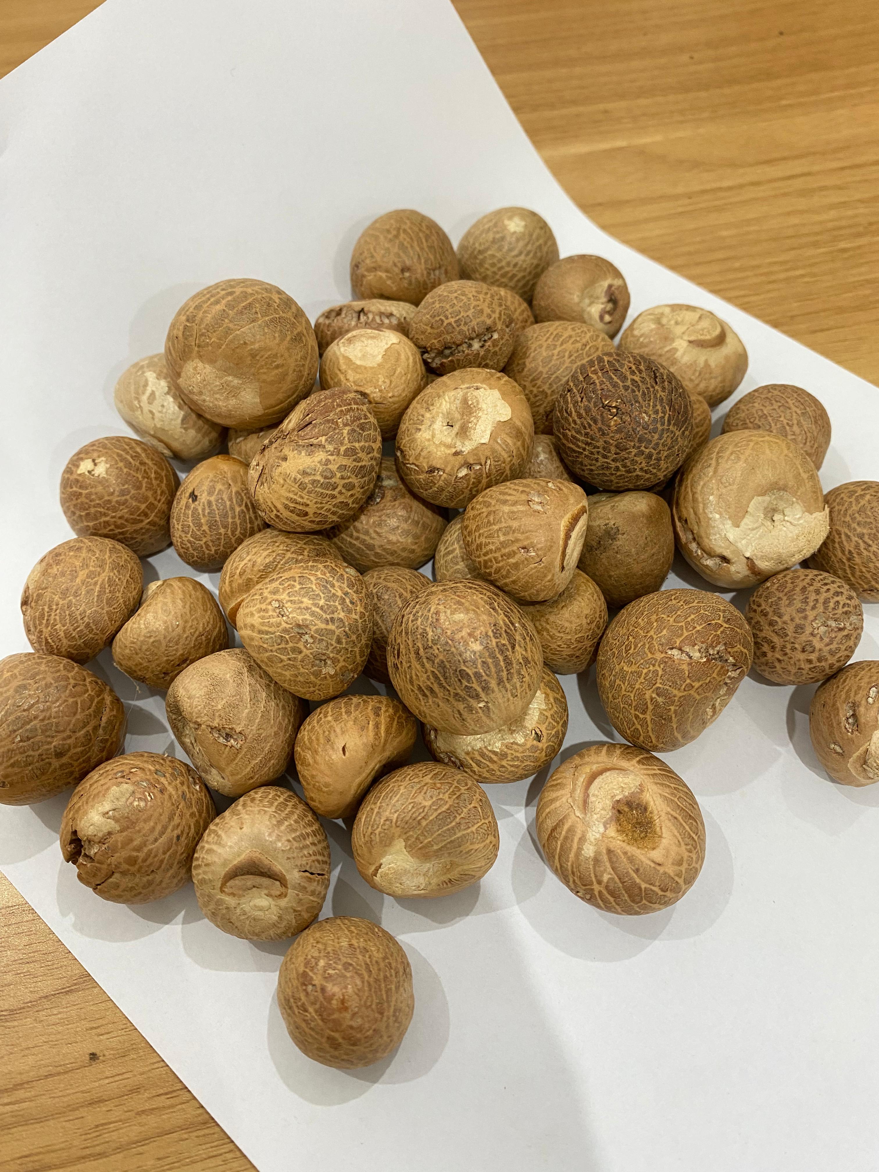 Nutmeg