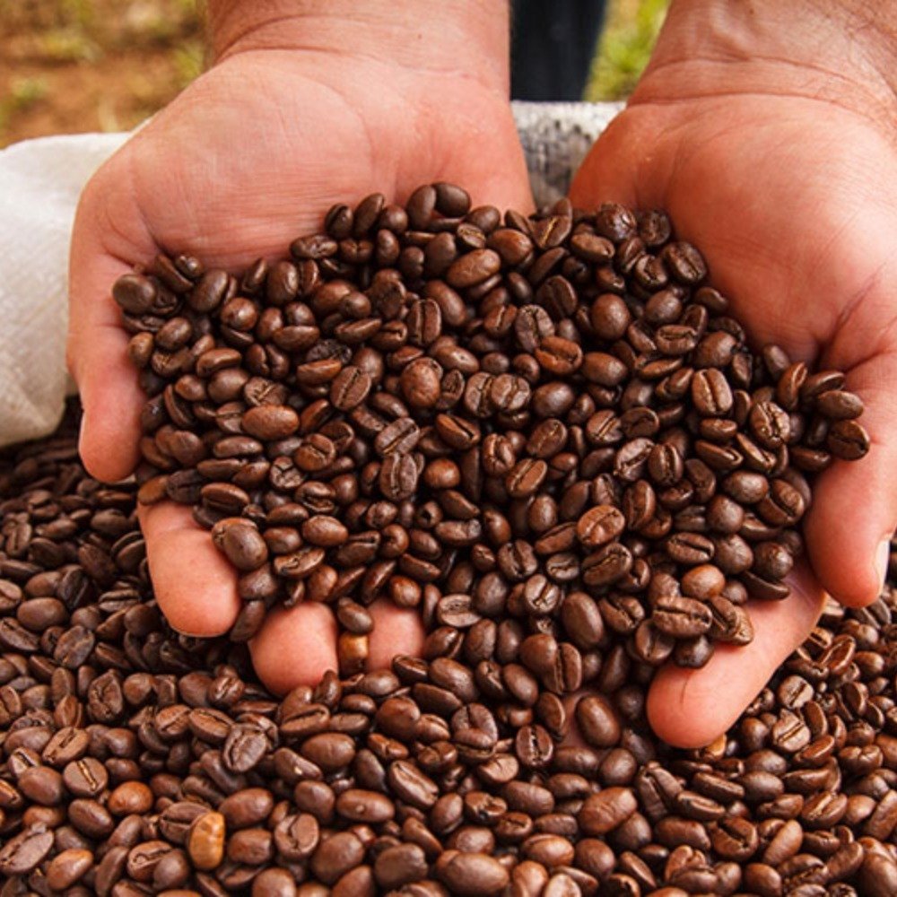 Roasted Coffee Beans